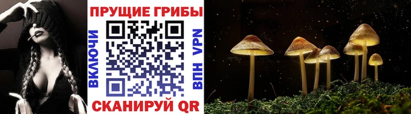 Псилоцибиновые грибы мицелий Купить где Кстово